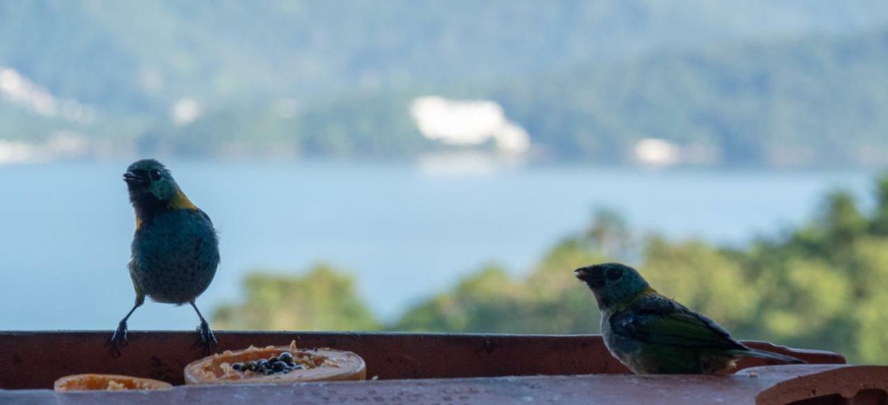 Oré Suítes e Chalés Ubatuba Exterior foto